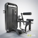 MÁQUINA EXTENSIÓN LUMBAR FUSION PRO - TORRE DE PLACAS 110 KG