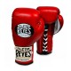 GUARDI PROFESSIONALI CLETO REYES SAFCETEC