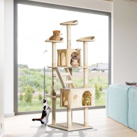 Scraper pour chats type activité centre avec arb.