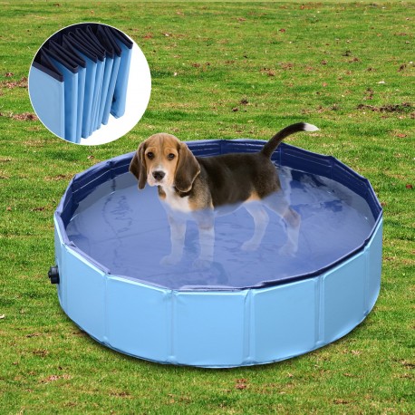 Swimming pool pet dogs cat puppy fold.