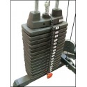 TORRE DE PLACE 90 KG PARA BS-LA-48 MODEL BODY SOLID