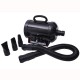 2400w hair dryer for pet dogs + flexi tube.