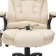 Office chair and desk type swivel chair.