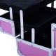 Professionale maschio in alluminio rosa 15x15x20cm...