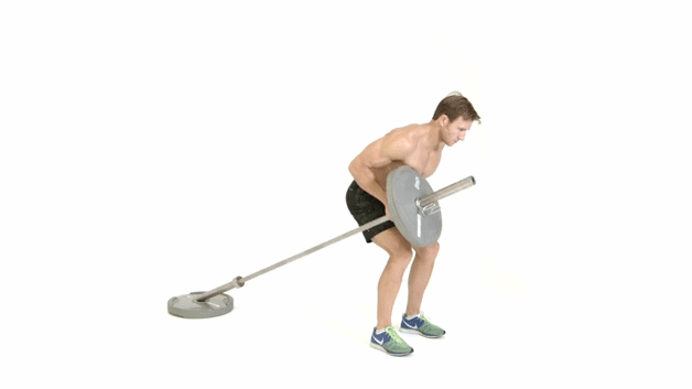 One-armed T-bar row back exercise